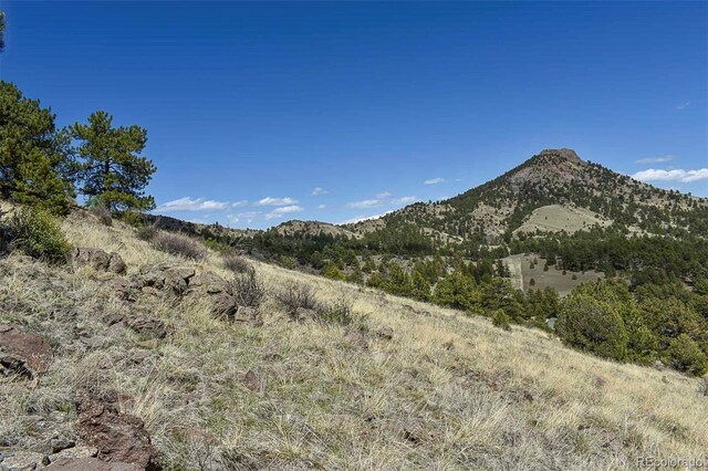 87 Wagon Wheel Cir, Guffey, CO 80820 - photo 9