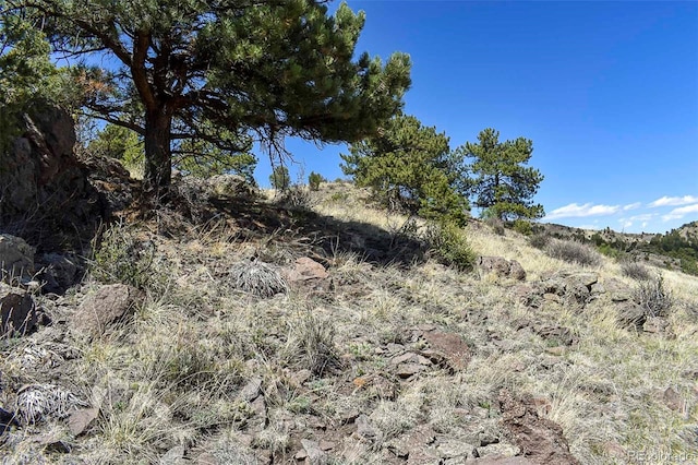87 Wagon Wheel Cir, Guffey, CO 80820 - photo 10