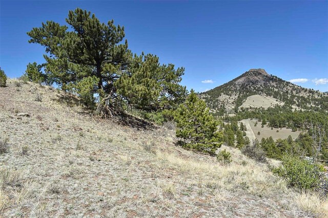 87 Wagon Wheel Cir, Guffey, CO 80820 - photo 11