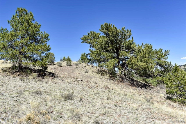 87 Wagon Wheel Cir, Guffey, CO 80820 - photo 12