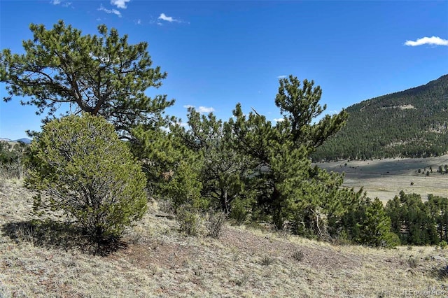 87 Wagon Wheel Cir, Guffey, CO 80820 - photo 13