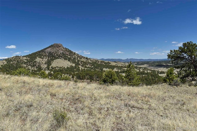 87 Wagon Wheel Cir, Guffey, CO 80820 - photo 14