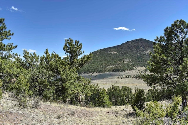 87 Wagon Wheel Cir, Guffey, CO 80820 - photo 15