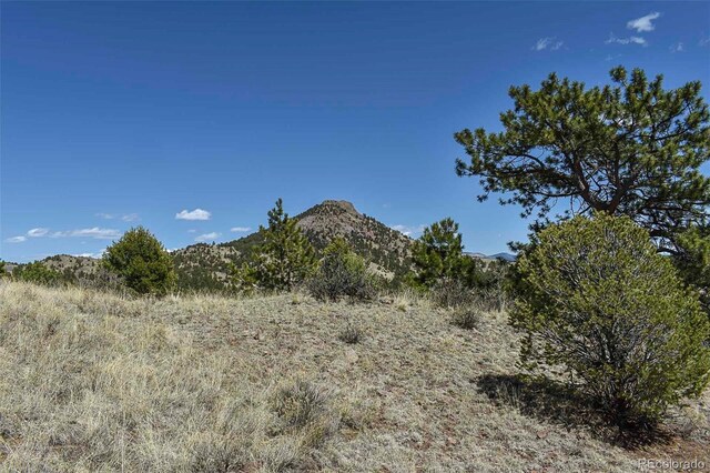 87 Wagon Wheel Cir, Guffey, CO 80820 - photo 16