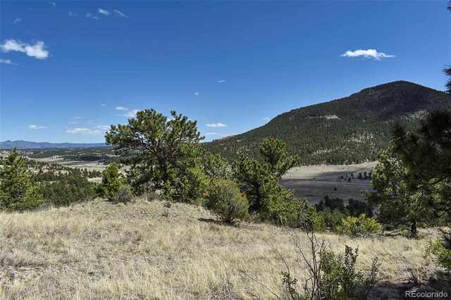 87 Wagon Wheel Cir, Guffey, CO 80820 - photo 17