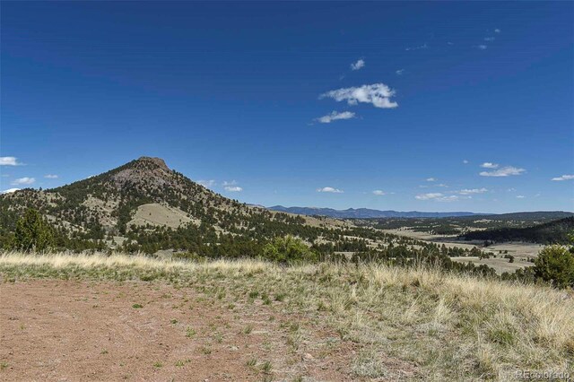 87 Wagon Wheel Cir, Guffey, CO 80820 - photo 18