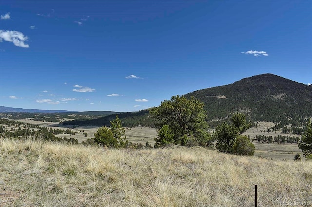 87 Wagon Wheel Cir, Guffey, CO 80820 - photo 19
