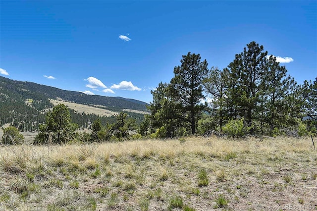 87 Wagon Wheel Cir, Guffey, CO 80820 - photo 20