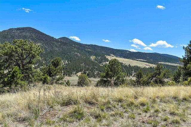 87 Wagon Wheel Cir, Guffey, CO 80820 - photo 21