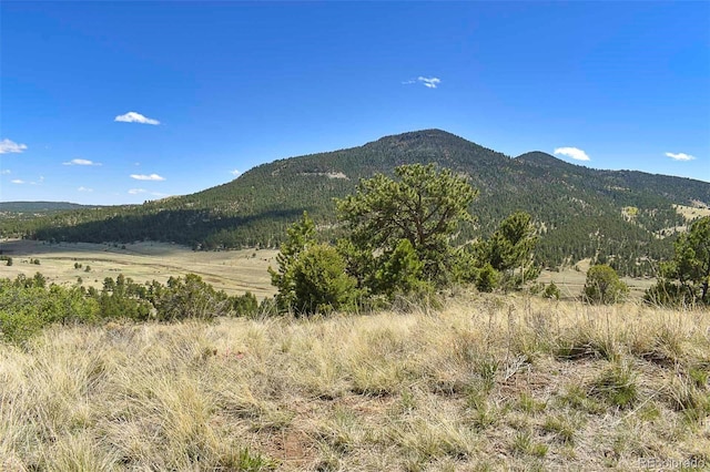 87 Wagon Wheel Cir, Guffey, CO 80820 - photo 22