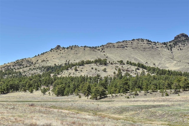87 Wagon Wheel Cir, Guffey, CO 80820 - photo 23