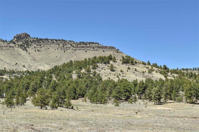 87 Wagon Wheel Cir, Guffey, CO 80820 - photo 24