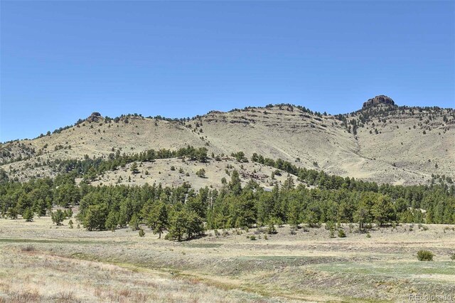87 Wagon Wheel Cir, Guffey, CO 80820 - photo 25