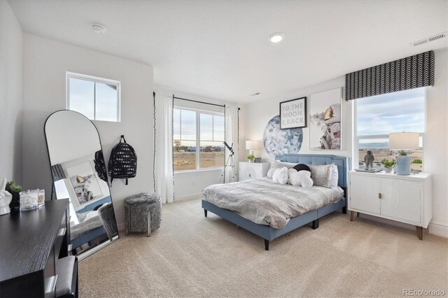 13804 Quartz St, Mead, CO 80504 - photo 6
