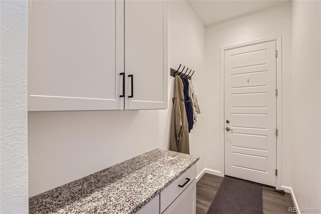 washroom featuring dark wood-type flooring