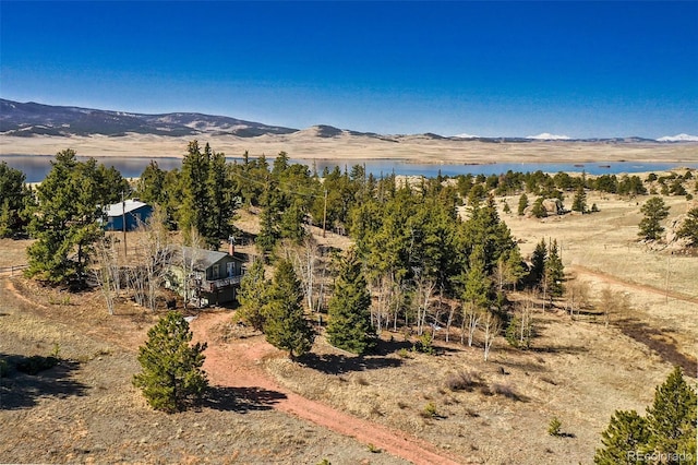 256 Whale Dr, Lake George, CO 80827 - photo 19