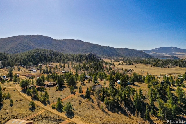 256 Whale Dr, Lake George, CO 80827 - photo 25