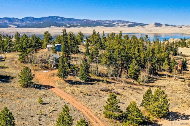 256 Whale Dr, Lake George, CO 80827 - photo 26