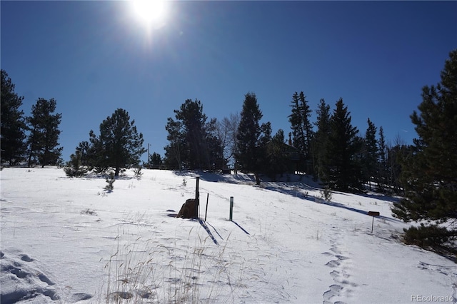 256 Whale Dr, Lake George, CO 80827 - photo 27