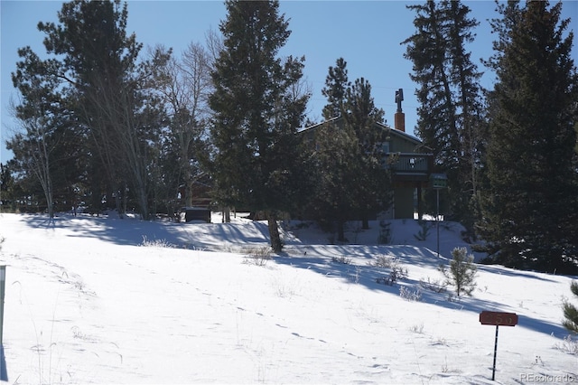 256 Whale Dr, Lake George, CO 80827 - photo 28