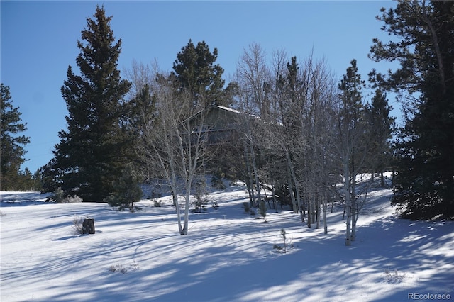 256 Whale Dr, Lake George, CO 80827 - photo 29