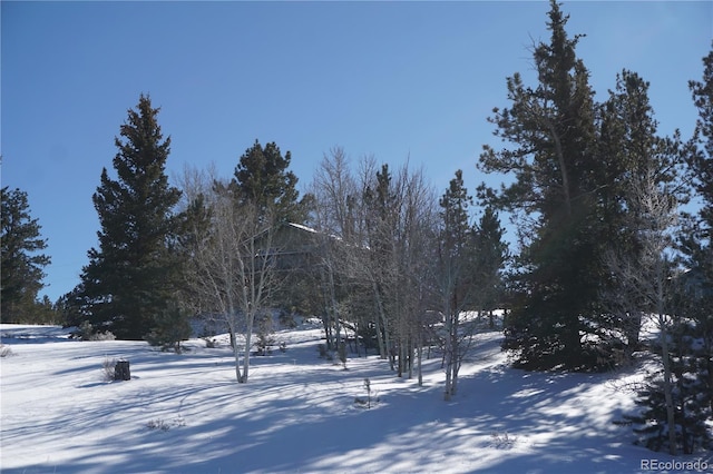 256 Whale Dr, Lake George, CO 80827 - photo 30