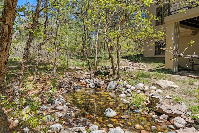 474 Silbrico Way, Castle Rock, CO 80108 - view of yard