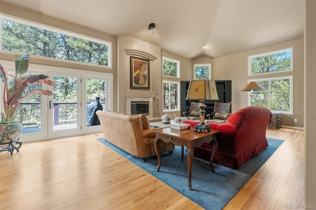 474 Silbrico Way, Castle Rock, CO 80108 - living room with wood finished floors, a glass covered fireplace, and lofted ceiling