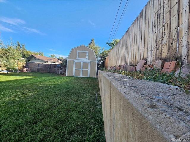 view of yard with a shed