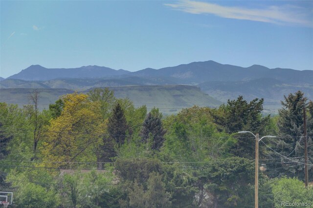 4416 Brentwood St, Wheat Ridge, CO 80033 - photo 15