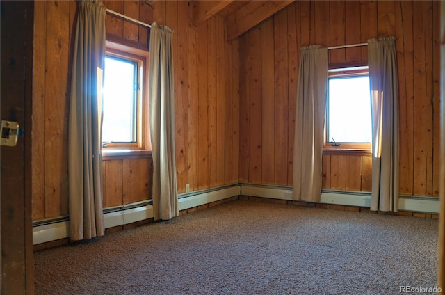 carpeted spare room with a healthy amount of sunlight and wood walls