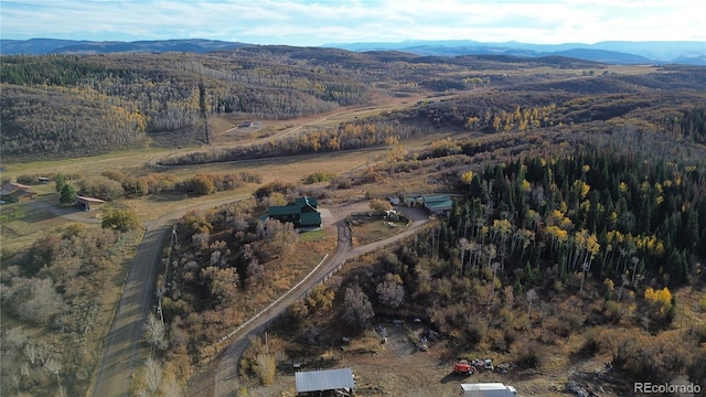 birds eye view of property featuring a mountain view