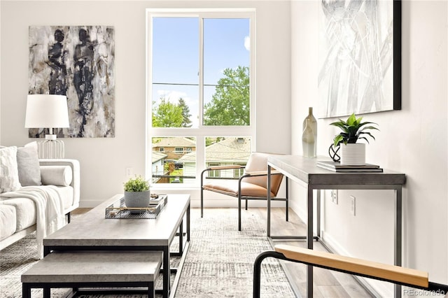 sitting room with hardwood / wood-style floors