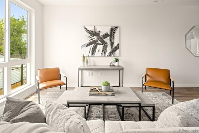 living room with wood-type flooring