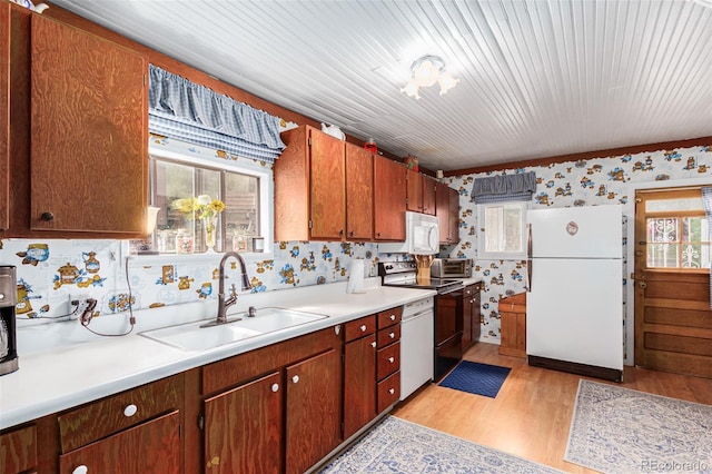 kitchen featuring light wood-style flooring, a sink, wallpapered walls, white appliances, and light countertops