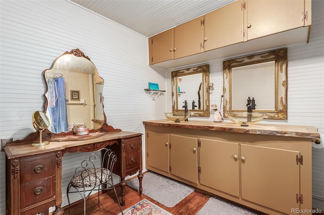 bathroom with wood finished floors and vanity