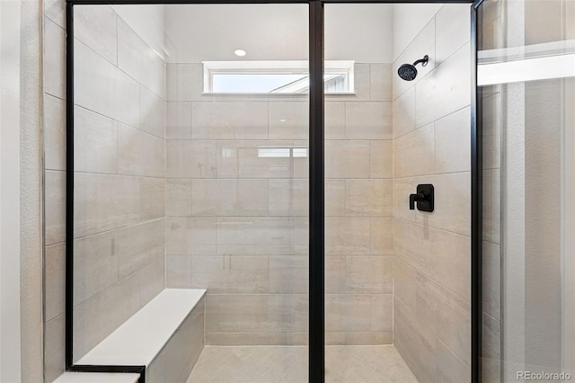 full bathroom with a shower stall