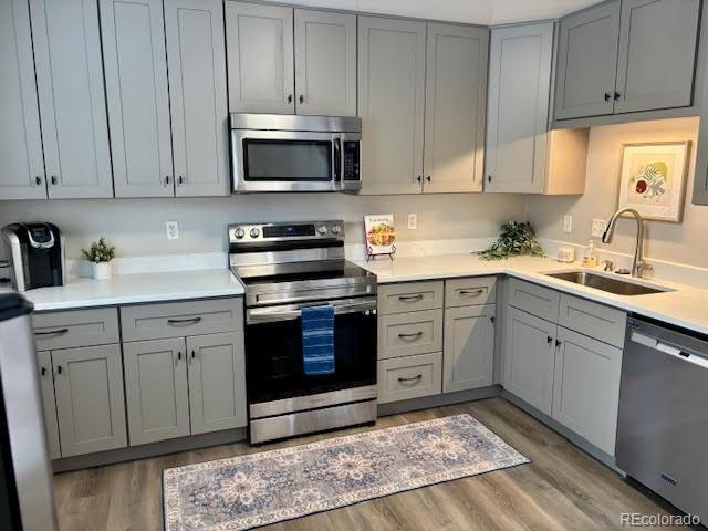 kitchen with gray cabinets, appliances with stainless steel finishes, sink, and light hardwood / wood-style flooring