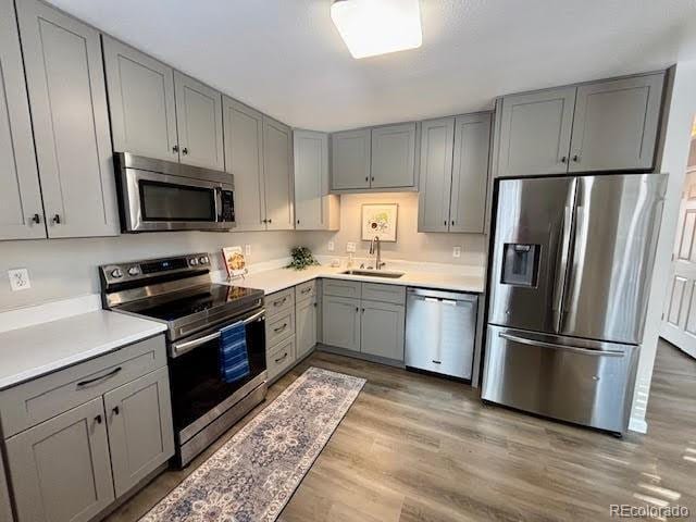 kitchen featuring appliances with stainless steel finishes, sink, gray cabinetry, and light hardwood / wood-style floors