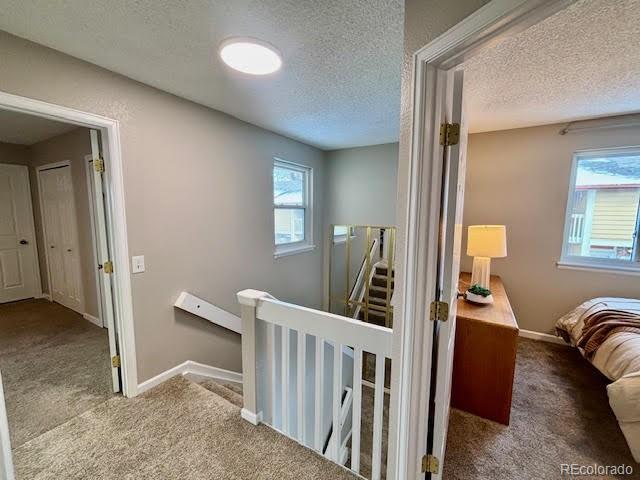 interior space featuring carpet floors and a textured ceiling