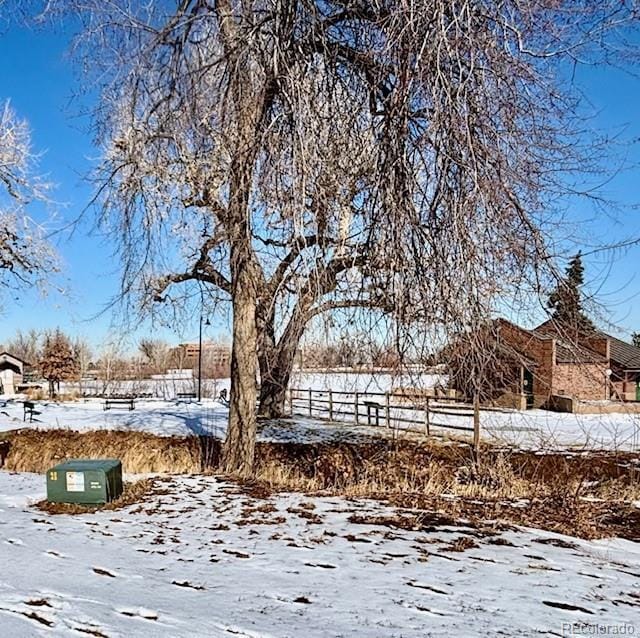 view of snowy yard