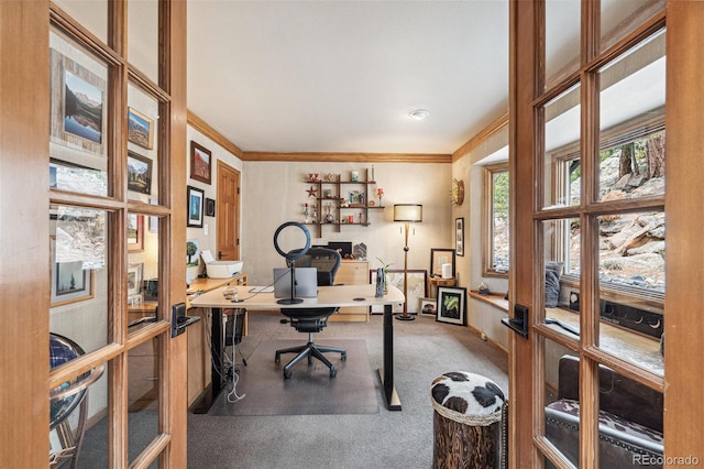 3961 Mossy Rock Ln, Evergreen, CO 80439 - home office featuring carpet floors, ornamental molding, and baseboards