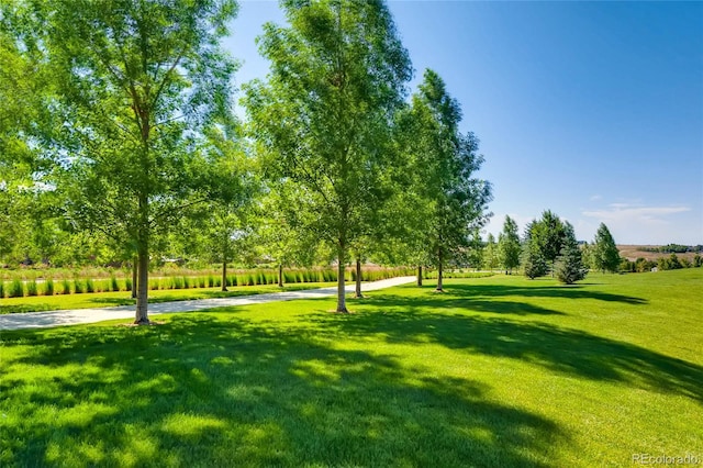 surrounding community featuring a lawn