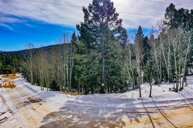 1230 May Queen Dr, Cripple Creek CO, 80813 land for sale