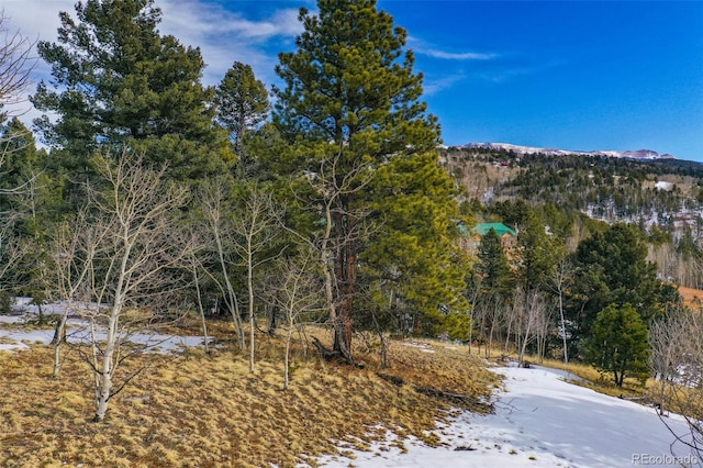 Listing photo 3 for 1230 May Queen Dr, Cripple Creek CO 80813