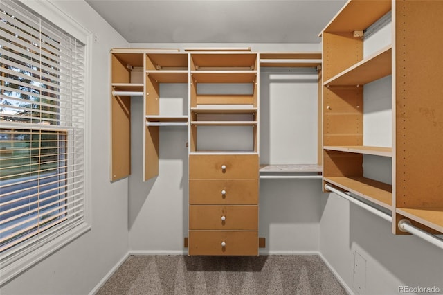 3458 S Norfolk Way, Aurora, CO 80013 - spacious closet featuring carpet floors and built in desk