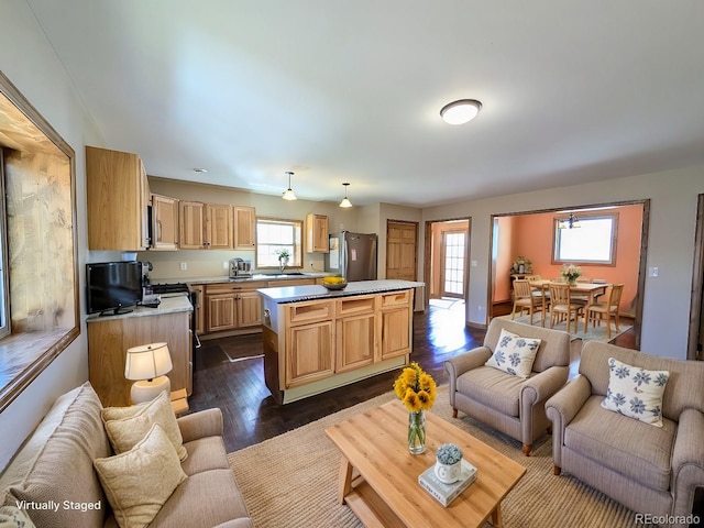 living room featuring dark hardwood / wood-style floors and sink