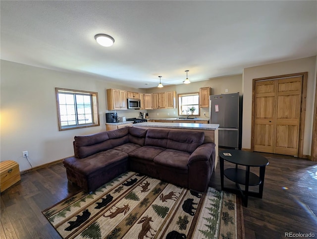 living room with sink, dark hardwood / wood-style flooring, and a healthy amount of sunlight