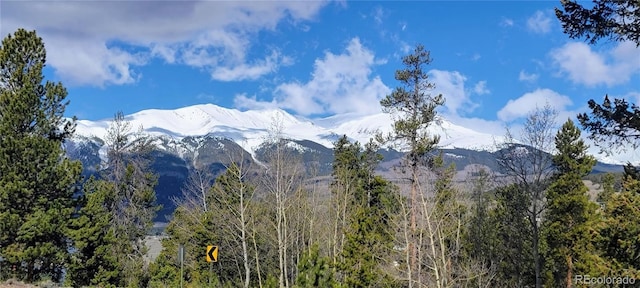 view of mountain feature