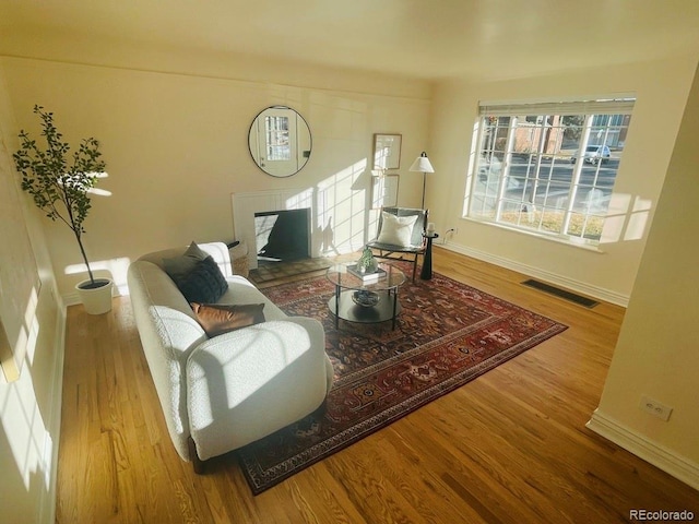 living room featuring hardwood / wood-style floors